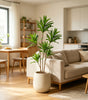 Artificial Dracaena Bamboo Tree Branch – Large Faux Corn Plant Leaves for Indoor Home & Office Decor