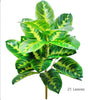 Large Artificial Bird of Paradise Plant Leaves – Real Touch Tropical Strelitzia Faux Greenery for Home & Garden Decor