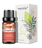 10ml Pure Essential Oils for Diffusers and Aromatherapy