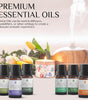 Top 6 Essential Oils Gift Set – 10ml Pure Oils for Diffusers, Humidifiers & Home Aromatherapy
