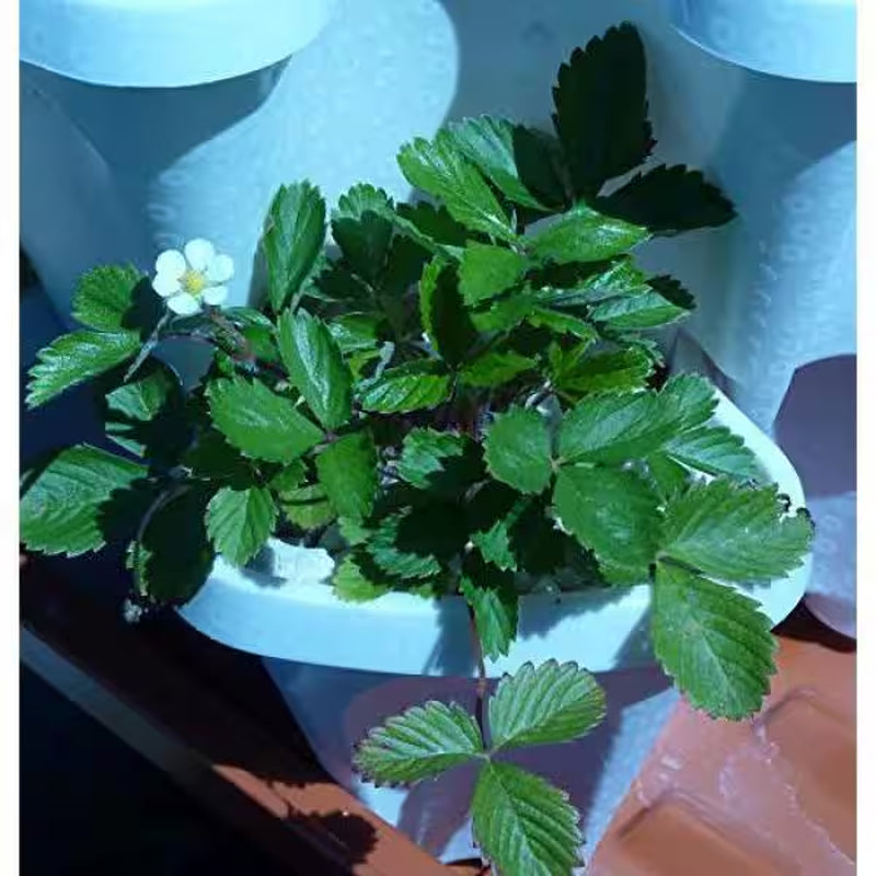 12 in X 5.5 In. Stone Plastic Vertical Stackable Planter (3-Pack)