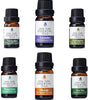 Top 6 Essential Oils Gift Set – 10ml Pure Oils for Diffusers, Humidifiers & Home Aromatherapy