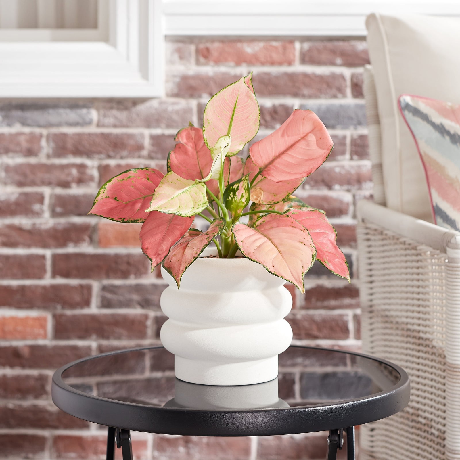 Pottery 6" Chinooke Bubble Ceramic Planter, White