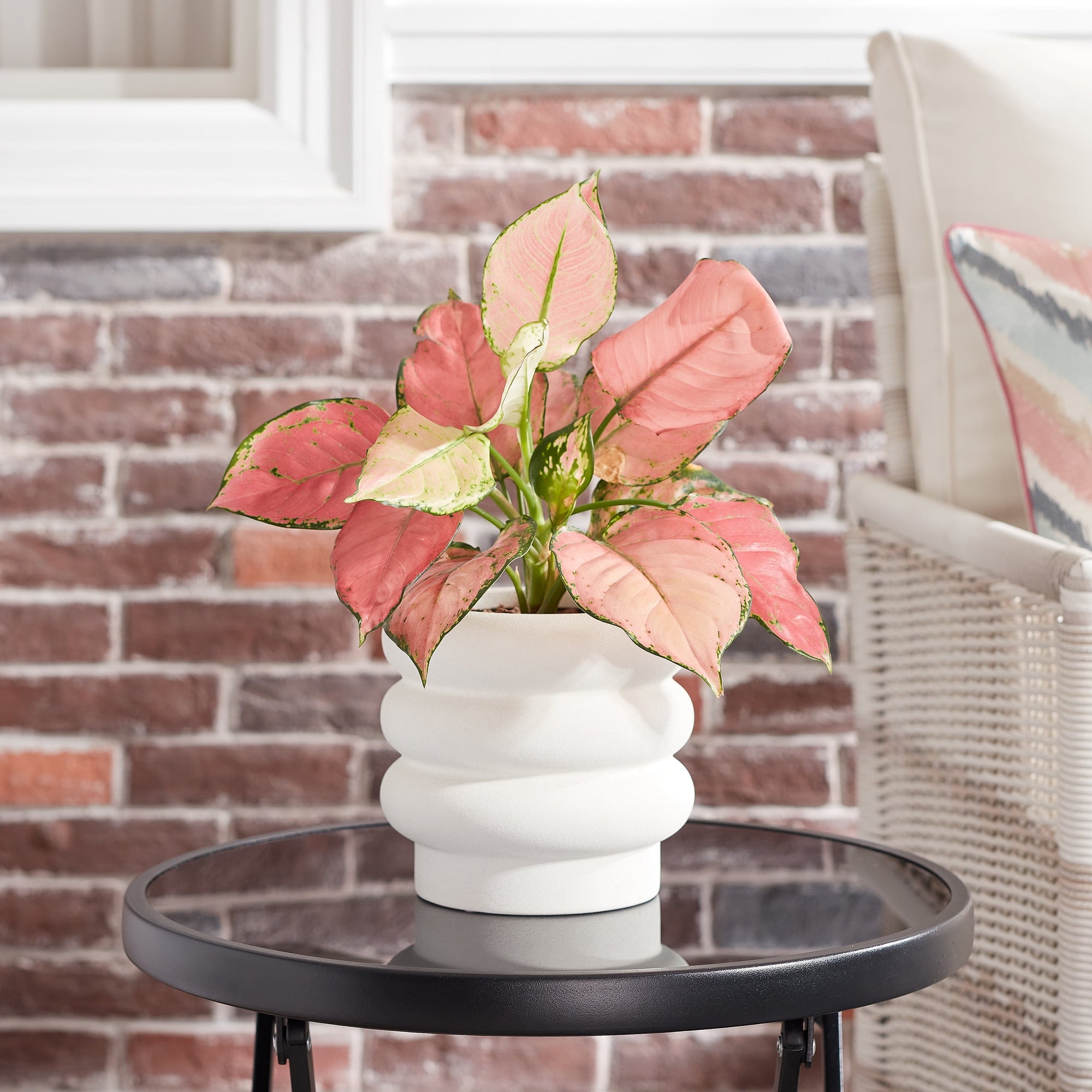 Pottery 6" Chinooke Bubble Ceramic Planter, White