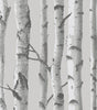 Grey Mountain Birch Forest Vinyl Peel and Stick Wallpaper Roll 30.75 sq. ft. 