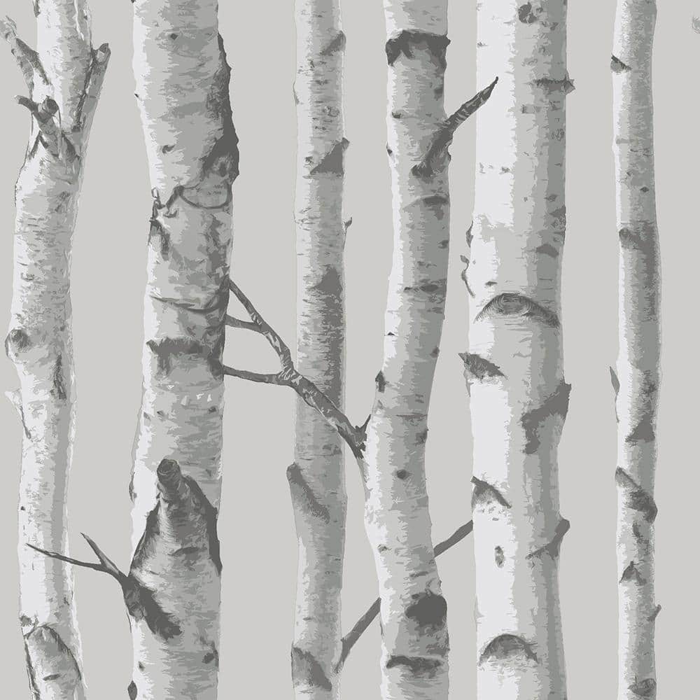 Grey Mountain Birch Forest Vinyl Peel and Stick Wallpaper Roll 30.75 sq. ft.